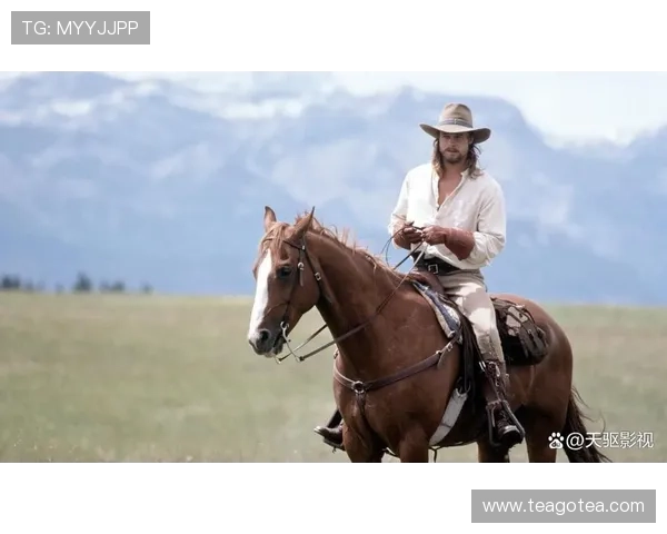 铁血壮士：燃情岁月，英雄史诗